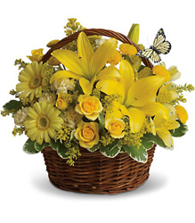 Basket Full of Wishes from McIntire Florist in Fulton, Missouri